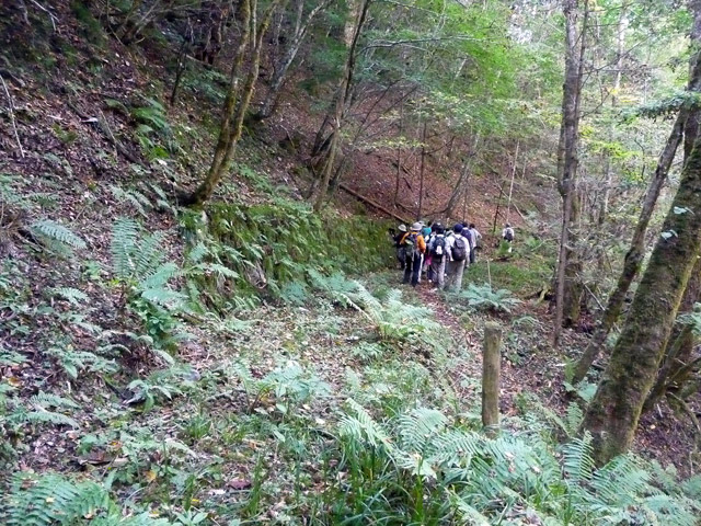 ���ː�X�ѓS��,�ѓS,�p����,�O����,����X�ѓS���t�F�X�e�B�o��,���̐��ː����H��,�E�H�[�L���O