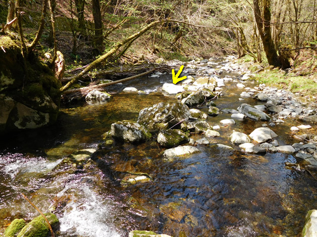 ���ː�X�ѓS��,�ѓS,�p����,�O����,�V����,���ґ�,�ۑ���