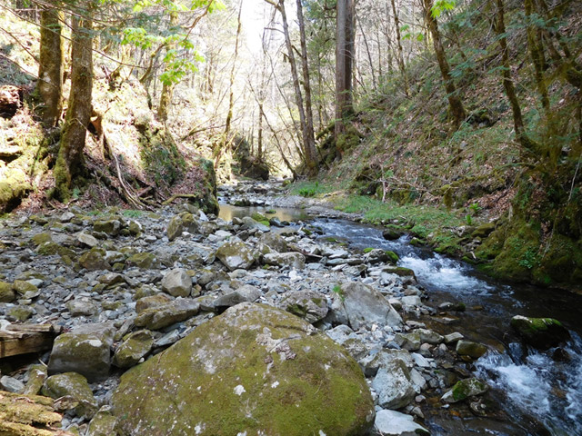 ���ː�X�ѓS��,�ѓS,�p����,�O����,�k��,���ґ�,�ۑ���