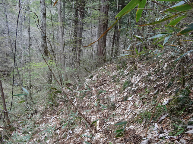 �ؑ]�X�ѓS��,�ѓS,�p����,�L�b�^�e���Ɛ�,�ы�,�؍މ^���O����,���ꑺ