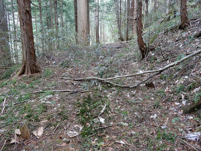 �ؑ]�X�ѓS��,�ѓS,�p����,���ґ��ƋO��,�؍މ^���O����,�{��,����c�я�