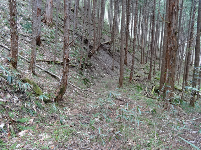 �ؑ]�X�ѓS��,�ѓS,�p����,���ґ��ƋO��,�ы�,��Ɛ�,���ꑺ