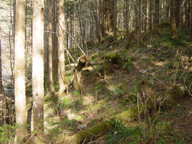 �X�ѓS��,�ѓS,�p����,���ґ��ƋO��,�V��,�؋�,�V����