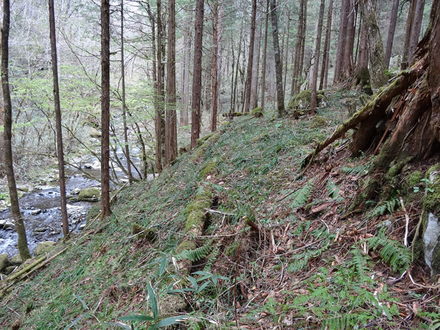 �X�ѓS��,�ѓS,�p����,���ґ��ƋO��,�V��,�؋�,�ؑ]�X�ъǗ���