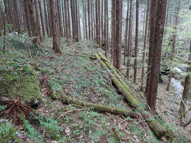 �X�ѓS��,�ѓS,�p����,���ґ��ƋO��,�ы�,�Ԕ���,�ؑ]�X�ъǗ���