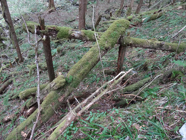 �ؑ]�X�ѓS��,�ѓS,�p����,���ґ��ƋO��,�V��,�؋�,�包