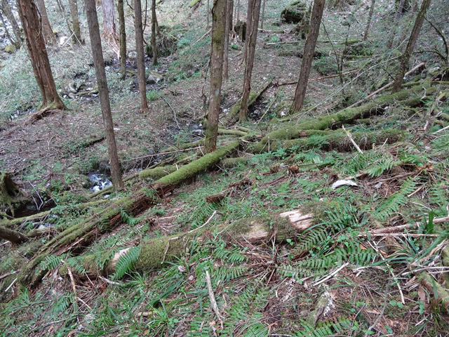 �ؑ]�X�ѓS��,�ѓS,�p����,���ґ��ƋO��,�V��,�؋�,�c�[