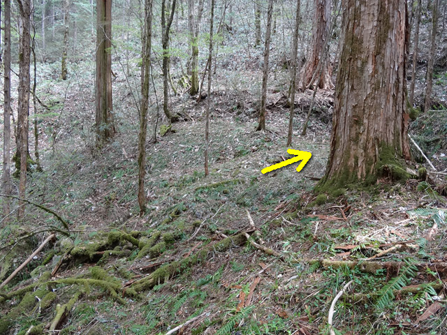 �ؑ]�X�ѓS��,�ѓS,�p����,���ґ��ƋO��,�V��,�؋�,���