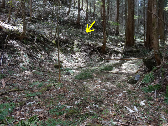 �ؑ]�X�ѓS��,�ѓS,�p����,���ґ��ƋO��,����,�H��,�w�A�s���J�[�u