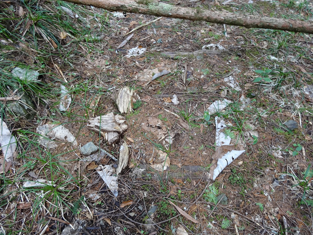 �ؑ]�X�ѓS��,�ѓS,�p����,���ґ��ƋO��,����,�H��,����