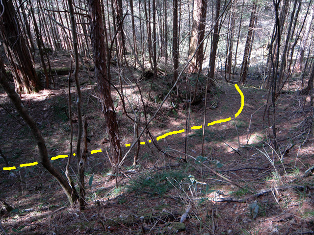 �ؑ]�X�ѓS��,�ѓS,�p����,���ґ��ƋO��,����,�H��,�w�A�s���J�[�u