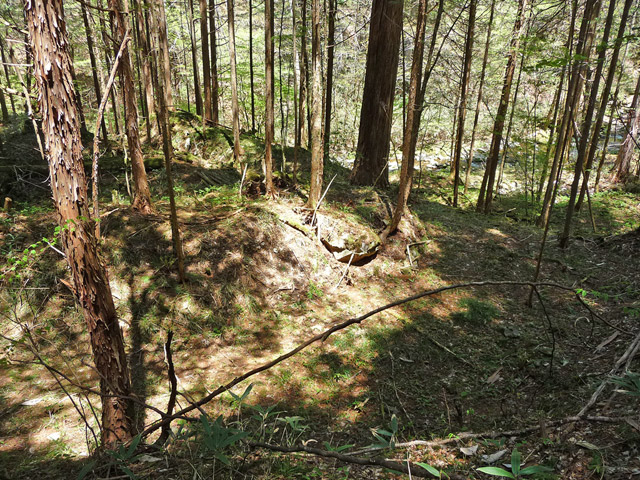 �ؑ]�X�ѓS��,�ѓS,�p����,���ґ��ƋO��,����,�H��,�w�A�s���J�[�u