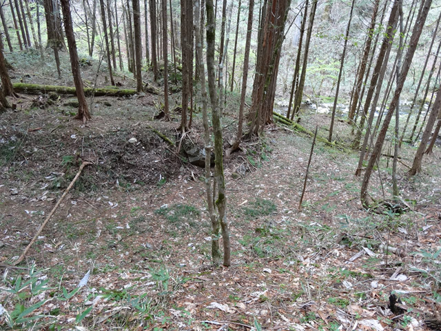 �ؑ]�X�ѓS��,�ѓS,�p����,���ґ��ƋO��,����,�H��,�w�A�s���J�[�u