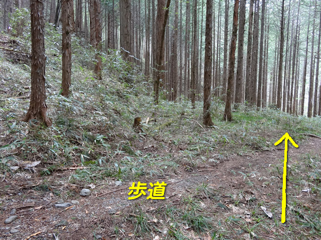 �ؑ]�X�ѓS��,�ѓS,�p����,���ґ��ƋO��,���ː�,����c�я�,�V����