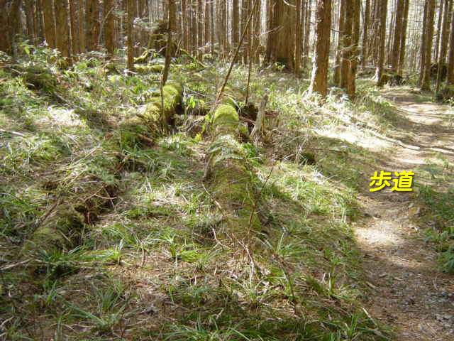 �ؑ]�X�ѓS��,�ѓS,�p����,���ґ��ƋO��,�V��,�؋�,���ꑺ