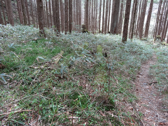 �ؑ]�X�ѓS��,�ѓS,�p����,���ґ��ƋO��,�V��,����,�V����