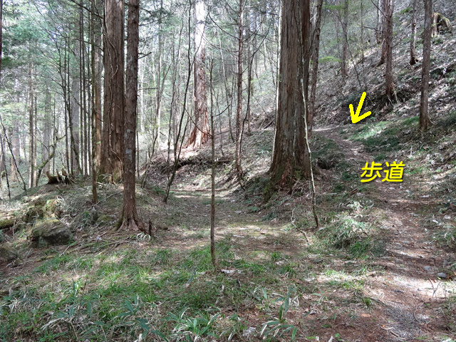 �ؑ]�X�ѓS��,�ѓS,�p����,���ґ��ƋO��,�H��,����,�V����