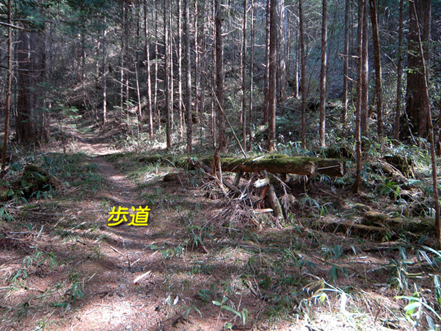 �ؑ]�X�ѓS��,�ѓS,�p����,���ґ��Ɛ�,�V��,�؋�,�V����