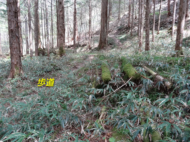 �ؑ]�X�ѓS��,�ѓS,�p����,���ґ��Ɛ�,�V��,�؋�,���ꑺ