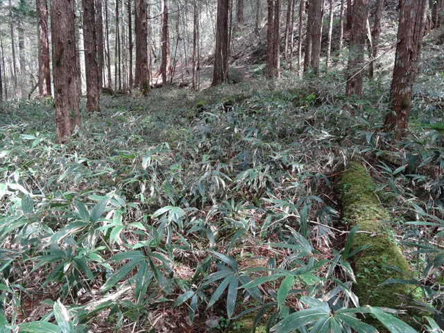 �ؑ]�X�ѓS��,�ѓS,�p����,���ґ��Ɛ�,�V��,�؋�,�����X�ъǗ���