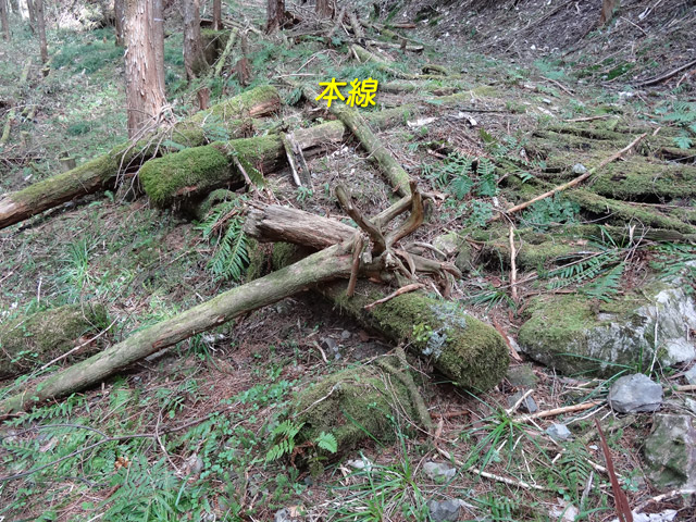 �X�ѓS��,�ѓS,�p����,���ґ��Ɛ�,�V��,����,����