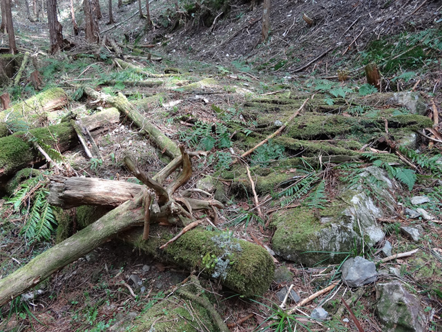 �X�ѓS��,�ѓS,�p����,���ґ��Ɛ�,�V��,����,����