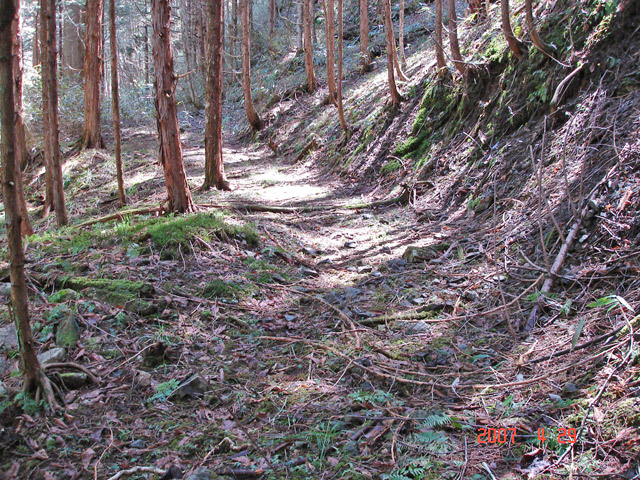 �ؑ]�X�ѓS��,�ѓS,�p����,���ґ��ƋO��,����,�H��,���ꑺ