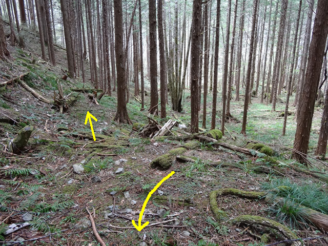 �ؑ]�X�ѓS��,�ѓS,�p����,���ґ��ƋO��,����,�x��,����c�я�