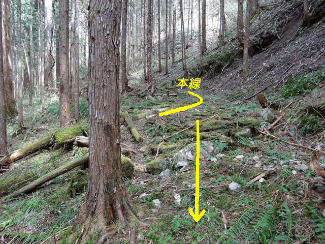 �X�ѓS��,�ѓS,�p����,���ґ��Ɛ�,�V��,�J�^�T��,�c�[,�ЎV