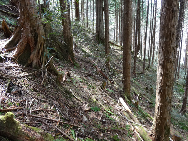 �ؑ]�X�ѓS��,�ѓS,�p����,���ґ��Ɛ�,�؍މ^���O����,�x��