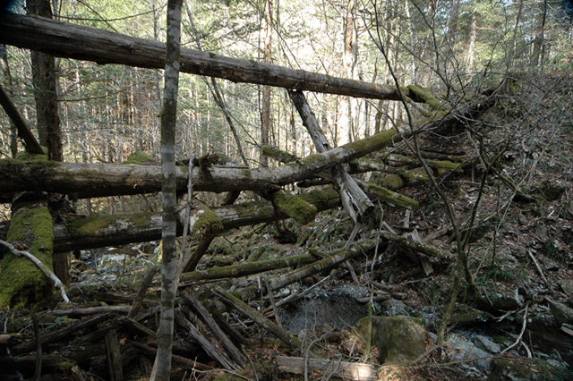 �ؑ]�X�ѓS��,�ѓS,�p����,���ґ��ƋO��,�包,���P�h�u��,�؋�