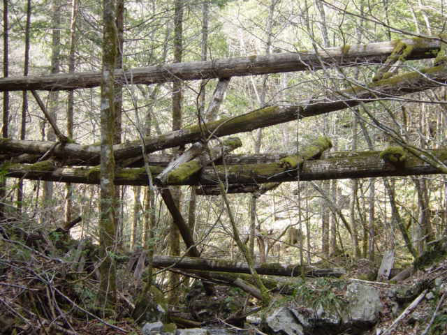 �ؑ]�X�ѓS��,�ѓS,�p����,���ґ��ƋO��,���ꑺ,���P�h�u��,�O�i�؋�