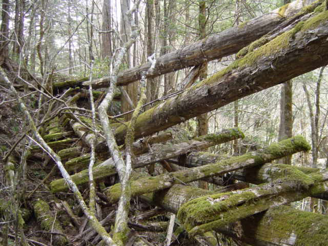 �ؑ]�X�ѓS��,�ѓS,�p����,���ґ��ƋO��,��,���P�h�u��,�O�i�؋�