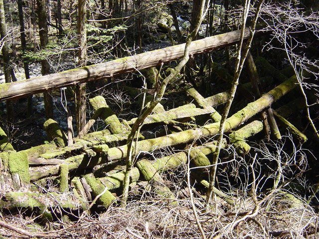 �ؑ]�X�ѓS��,�ѓS,�p����,���ґ��ƋO��,���ꑺ,���P�h�u��,�O�i�؋�