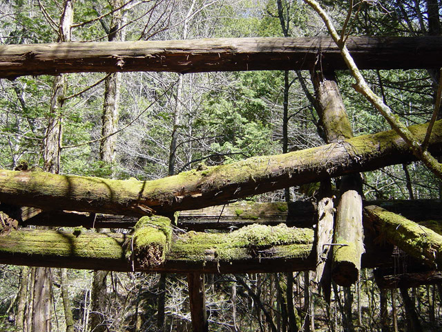 �ؑ]�X�ѓS��,�ѓS,�p����,���ґ��ƋO��,����c�я�,���P�h�u��,�O�i�؋�