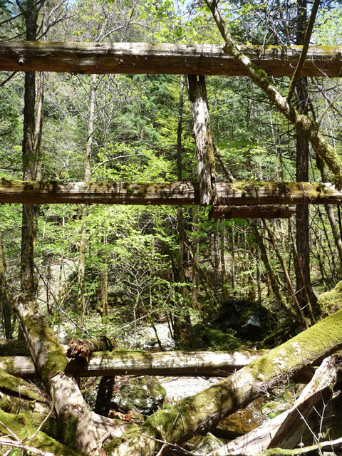 �X�ѓS��,�ѓS,�p����,���ґ��ƋO��,�V��,���ː�,�؋�,����c�я�