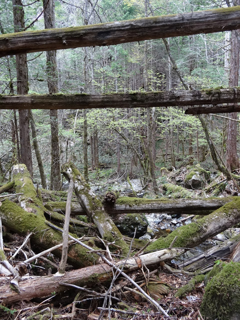 �ؑ]�X�ѓS��,�ѓS,�p����,���ґ��ƋO��,�c�[,���P�h�u��,3�i�؋�