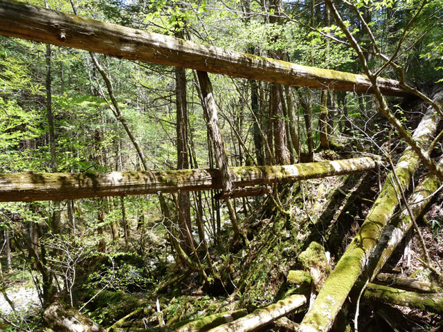 �X�ѓS��,�ؑ]�ѓS,�p����,���ґ��Ɛ�,�c�[,���P�h�u��,3�i�؋�