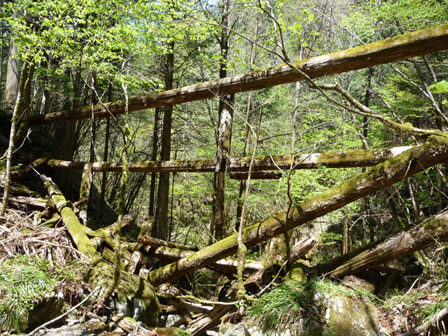 �ؑ]�ѓS,�X�ѓS��,�p����,���ґ��ƋO��,�c�[,���P�h�u��,�O�i�؋�