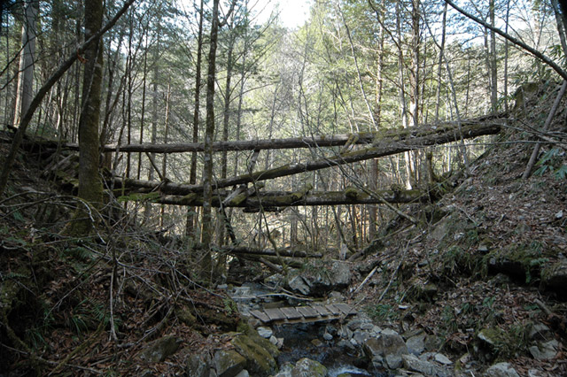 �ؑ]�ѓS,�X�ѓS��,�p����,���ґ��Ɛ�,�V����,���P�h�u��,�O�i�؋�