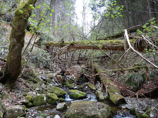 �ؑ]�ѓS,�X�ѓS��,�p����,���ґ��Ɛ�,����,���P�h�u��,�O�i�؋�