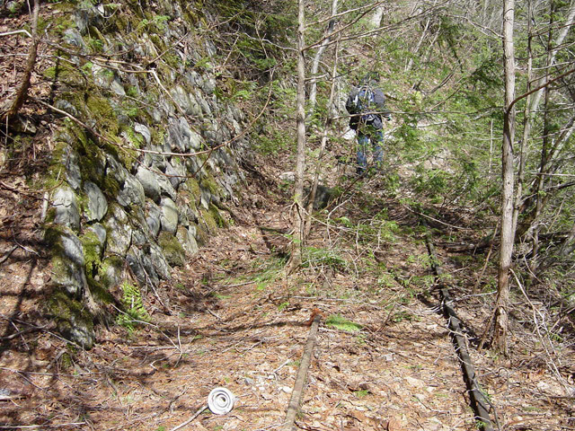 �ؑ]�X�ѓS��������,�ѓS,�p��