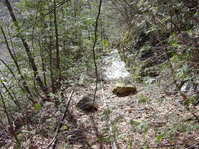 �ؑ]�X�ѓS��������,�ѓS,�p��