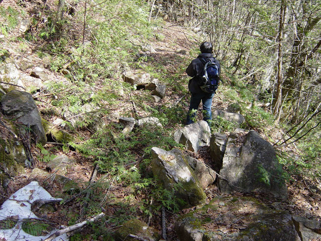 �����X�ыO���u�������싴���[�����򋴗��v