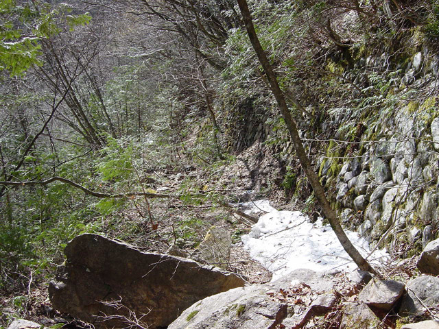 �����X�ыO���u�������싴���[�����򋴗��v