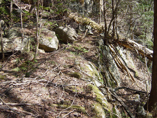 �����ѓS�u�������싴���[�����򋴗��v