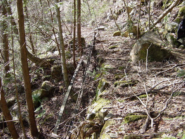 �����ѓS�u�������싴���[�����򋴗��v