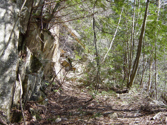 �����ѓS�u�������싴���[�����򋴗��v