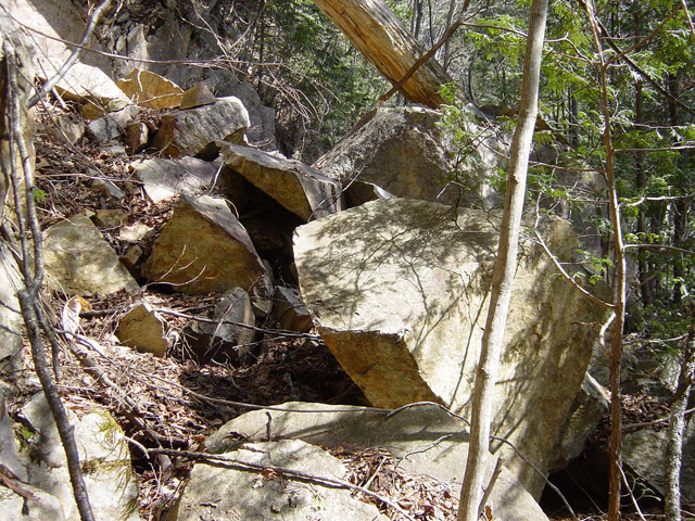 �����X�ѓS���u�������싴���[�����򋴗��v