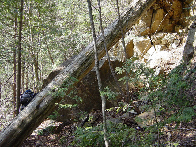 �����X�ѓS���u�������싴���[�����򋴗��v